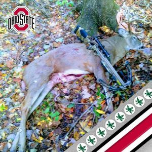 Meet your Posher, Zach